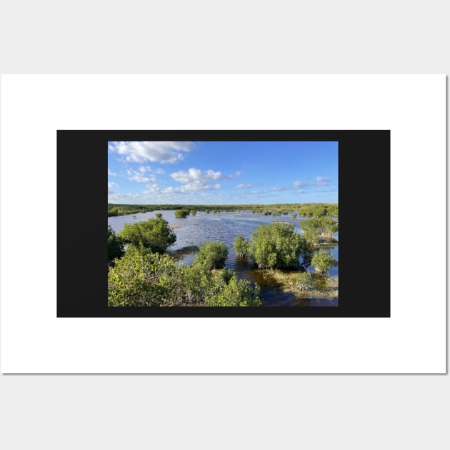 Florida Everglades Wall Art by Sparkleweather